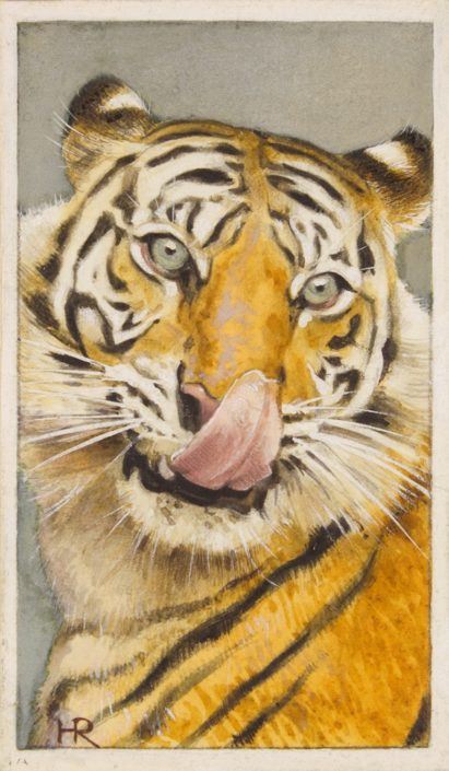 Dierenleven in Artis, Henricus Rol