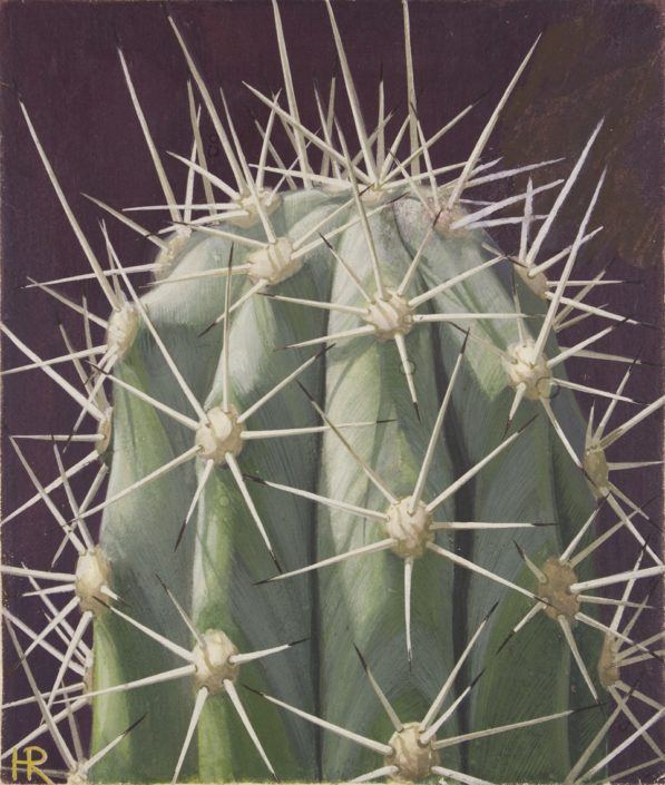 Verkade album cactussen – collectie Zaans Museum Verkade album cactussen - collectie Zaans Museum