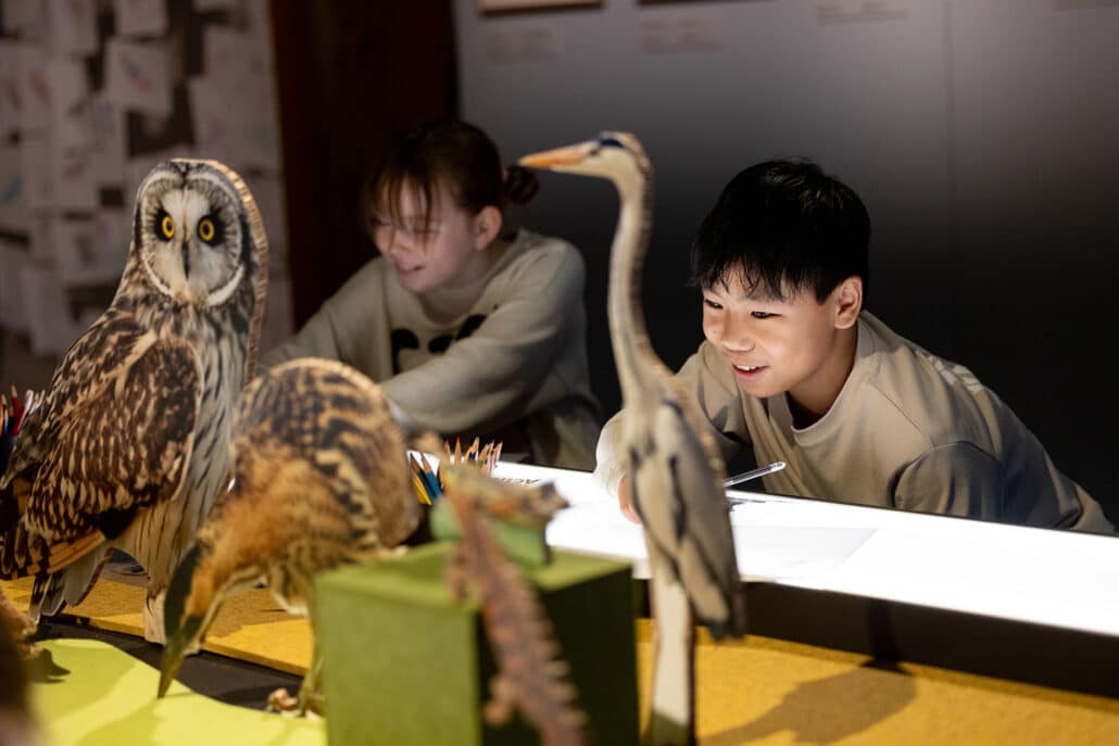 578A9858 Kinderen tekenen in de tentoonstelling