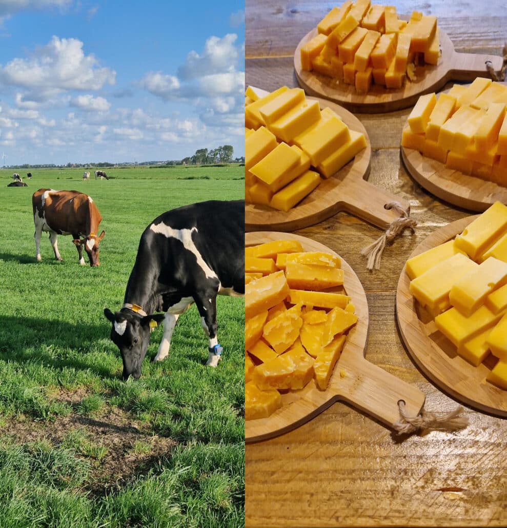 kramer koe en kaas Koe en kaas